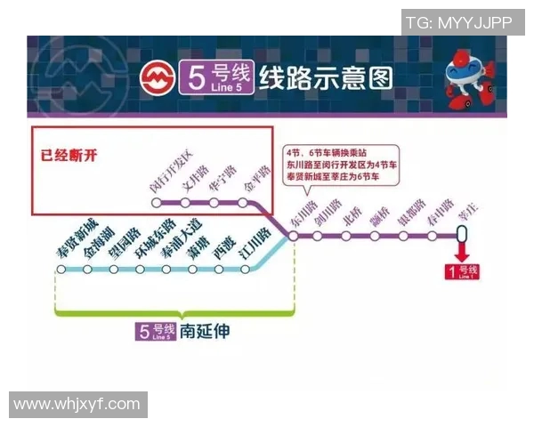 上海乒乓球队运营模式解析与发展趋势探讨