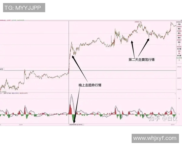南京羽毛球队与杭州羽毛球队赛后复盘分析比赛节奏与战术对比